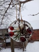 foto_5